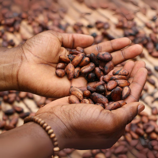 The Rise of Vegan and Organic chocolate