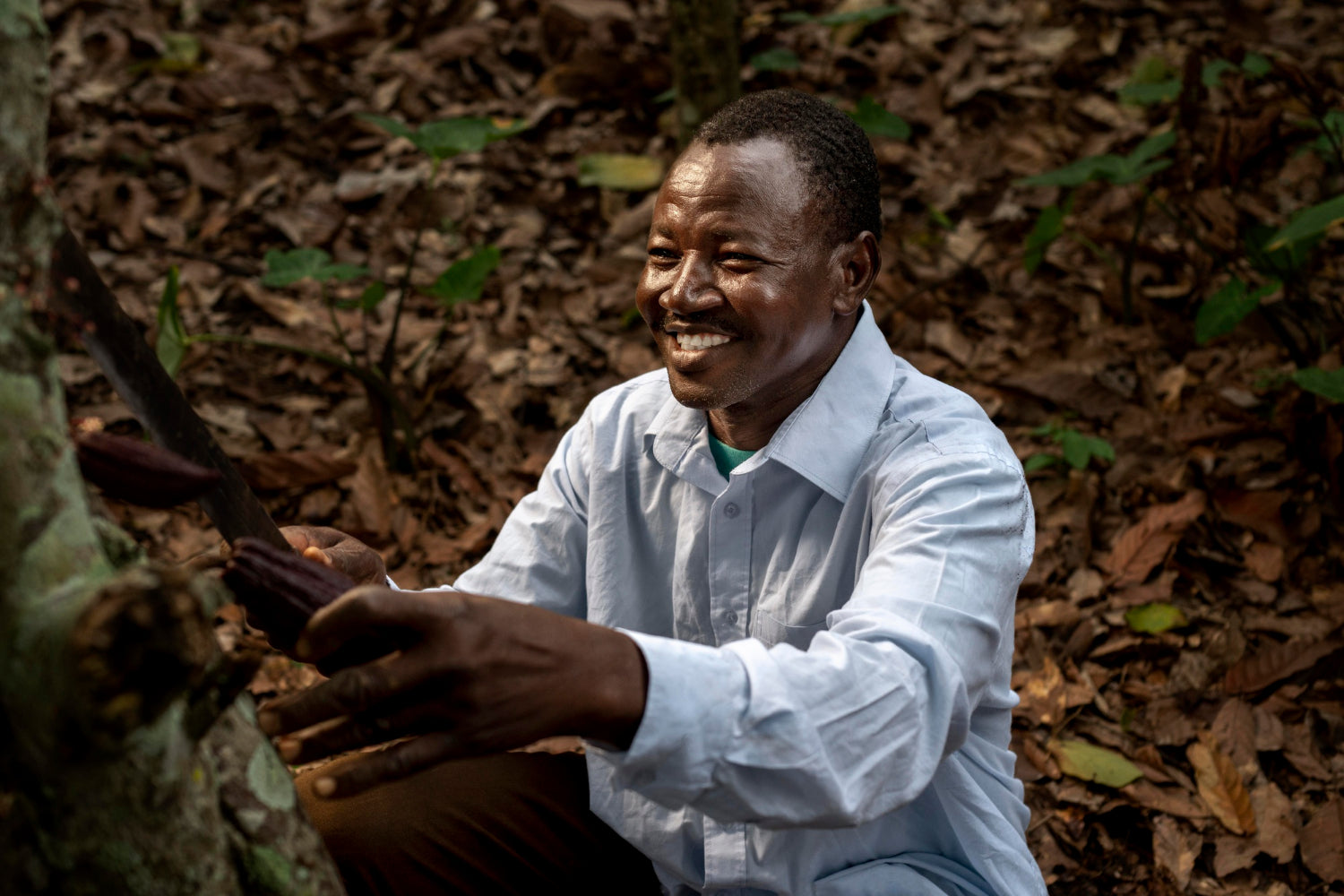 Cacao farmer from congo